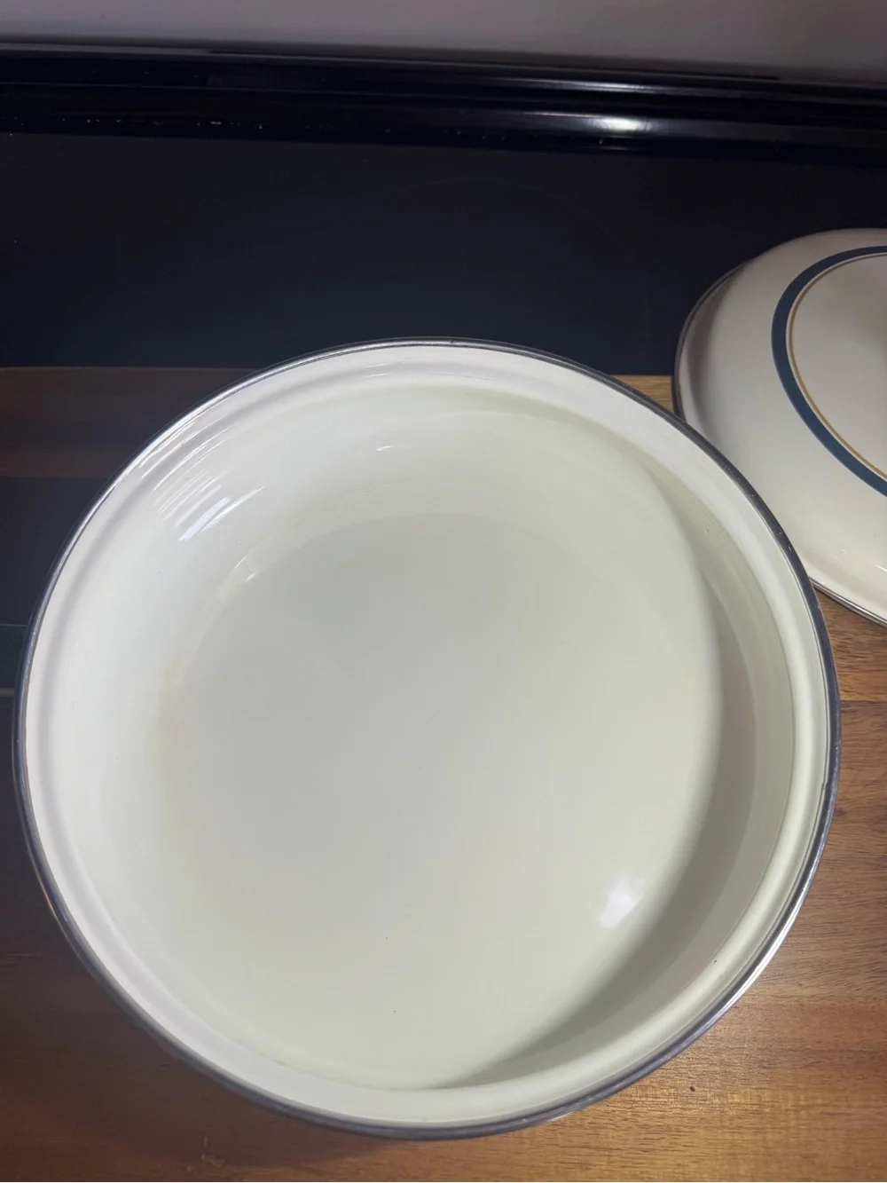 Vintage Country Goose Enamel 9